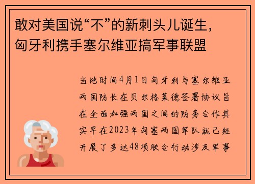 敢对美国说“不”的新刺头儿诞生，匈牙利携手塞尔维亚搞军事联盟