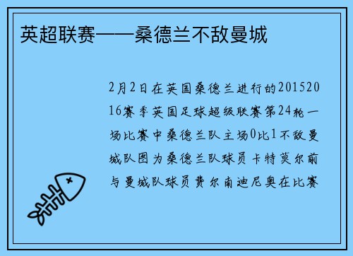 英超联赛——桑德兰不敌曼城